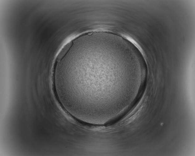 X0000085071093200703121636