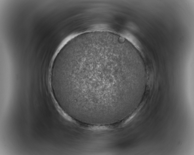 X0000085071094200703121636