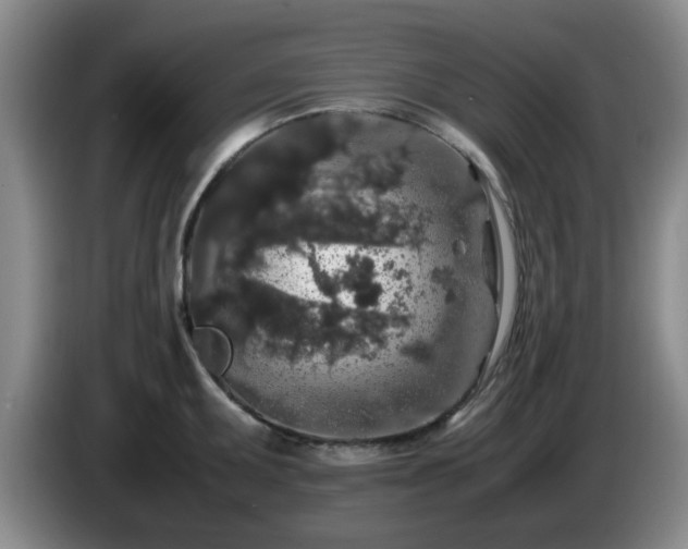 X0000085071095200703121636