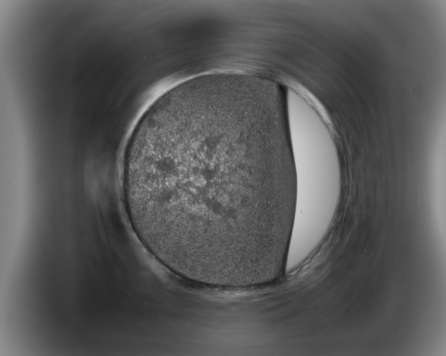 X0000085071099200703121636