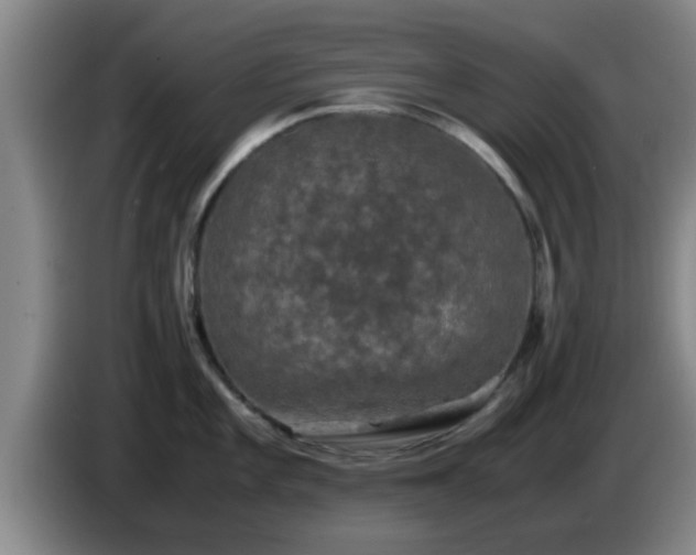 X0000085071101200703121636