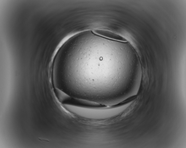 X0000085071102200703121636