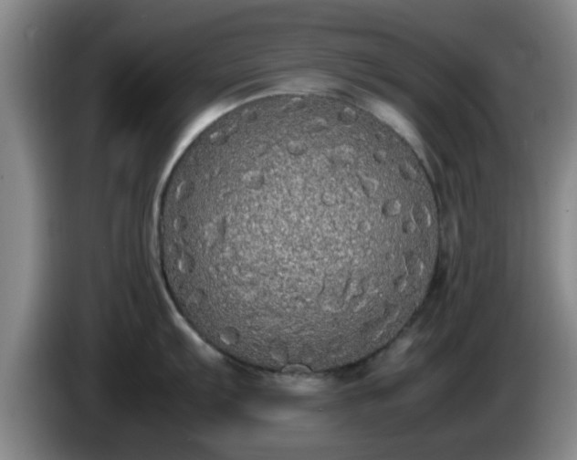 X0000085071103200703121636