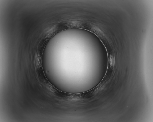 X0000085071107200703121636