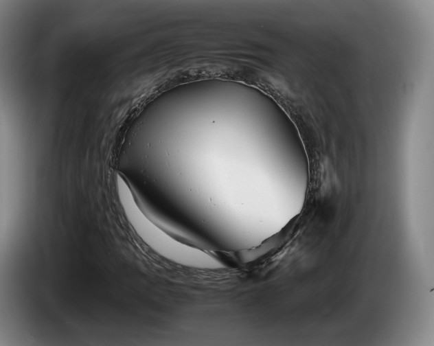 X0000085071109200703121636