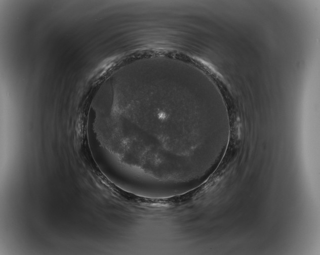 X0000085071110200703121636