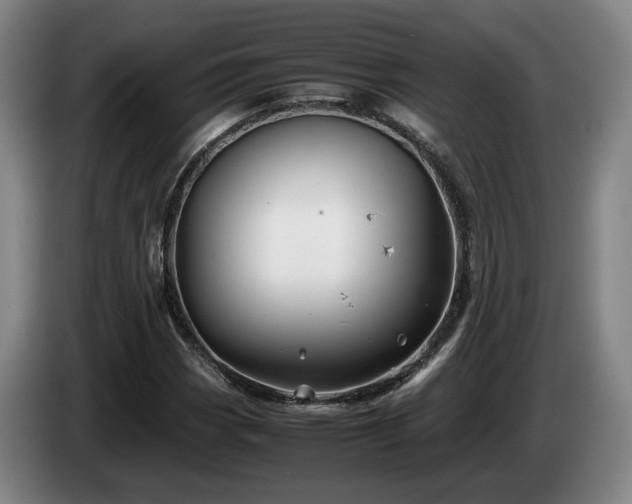 X0000085071113200703121636