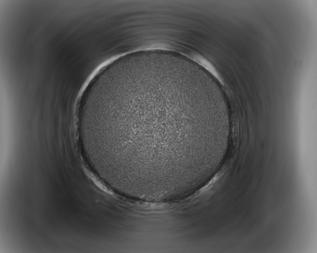 X0000085071116200703121636