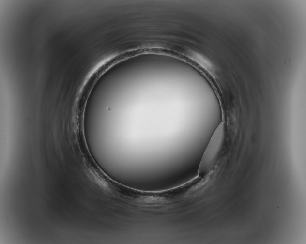 X0000085071119200703121636