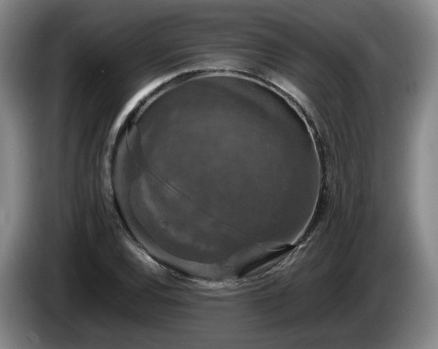 X0000085071120200703121636