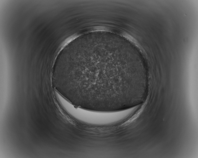 X0000085071121200703121636