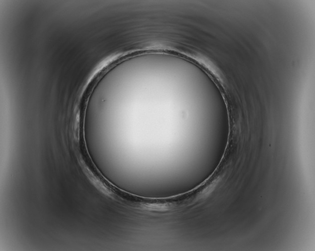 X0000085071126200703121636