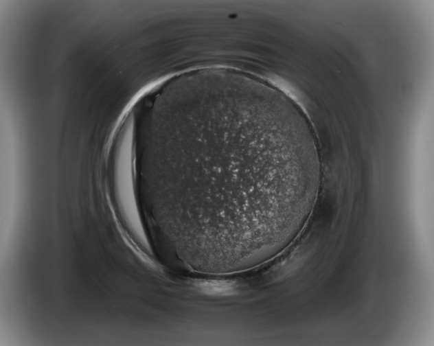 X0000085071127200703121636