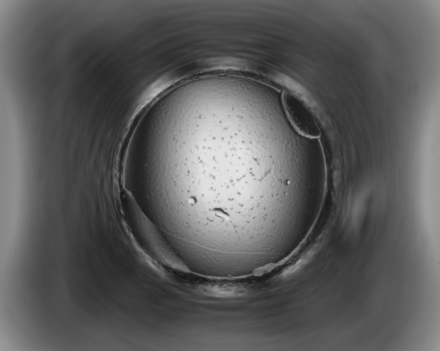 X0000085071129200703121636