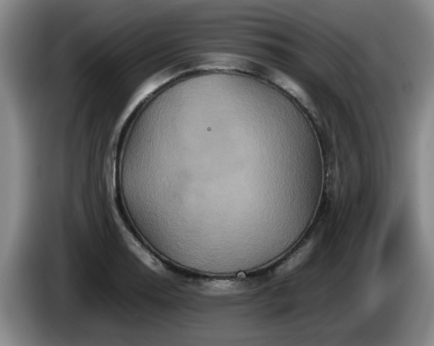 X0000085071130200703121636