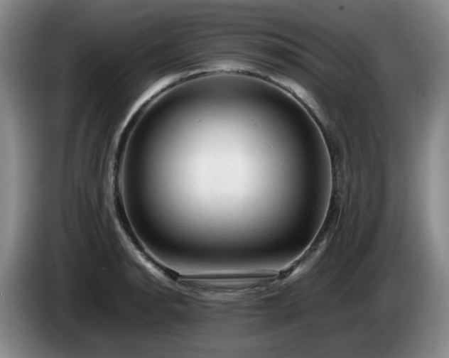 X0000085071134200703121636