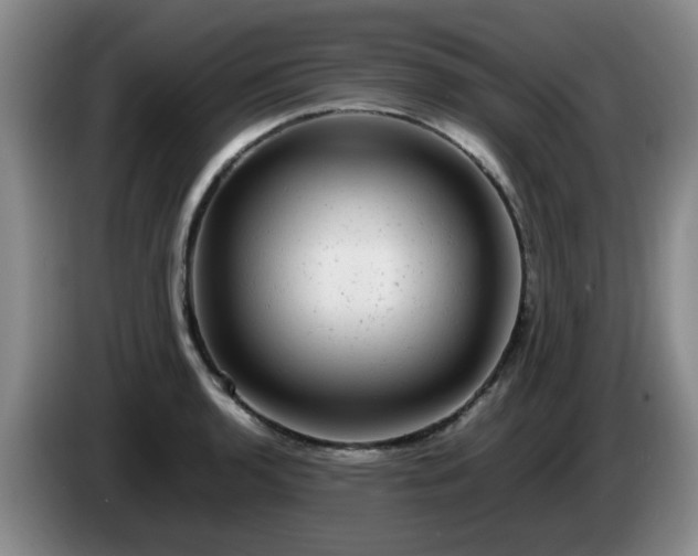 X0000085071136200703121636