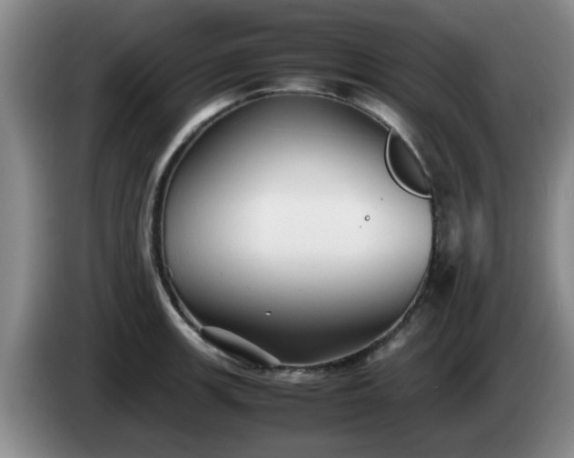 X0000085071139200703121636