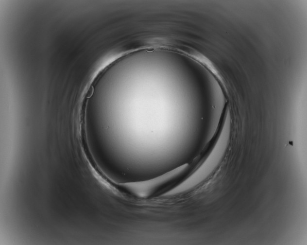 X0000085071143200703121636