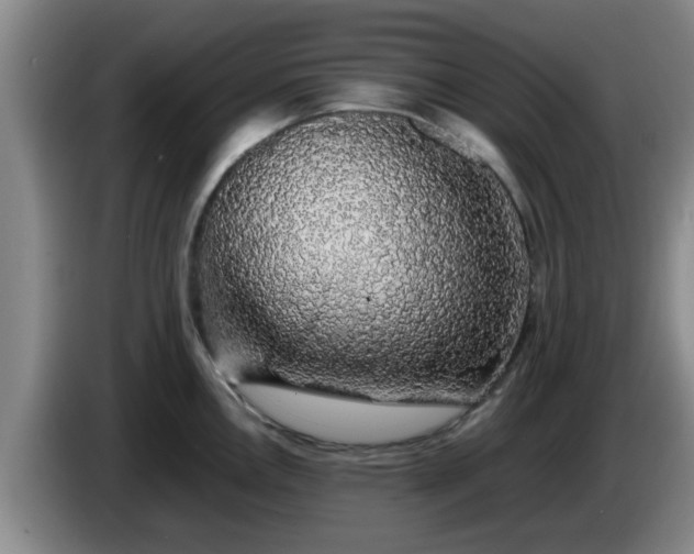 X0000085071146200703121636