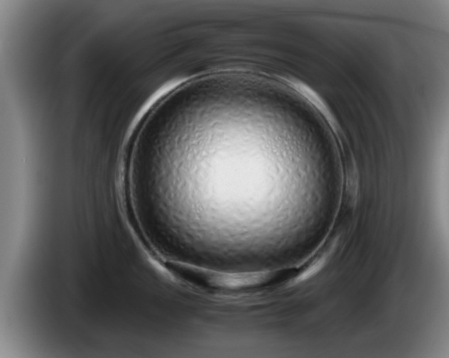 X0000085071149200703121636