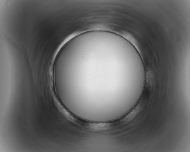 X0000085071150200703121636