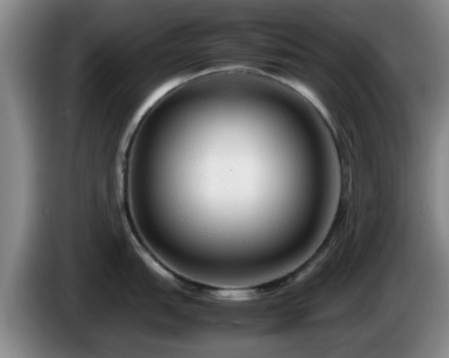 X0000085071151200703121636