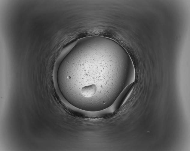 X0000085071153200703121636