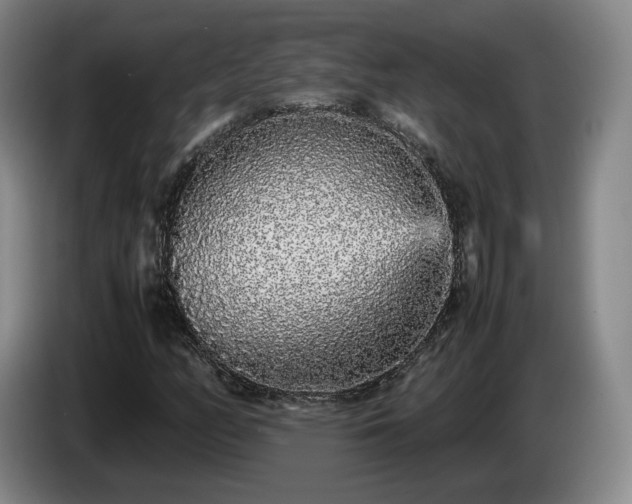 X0000085071158200703121636