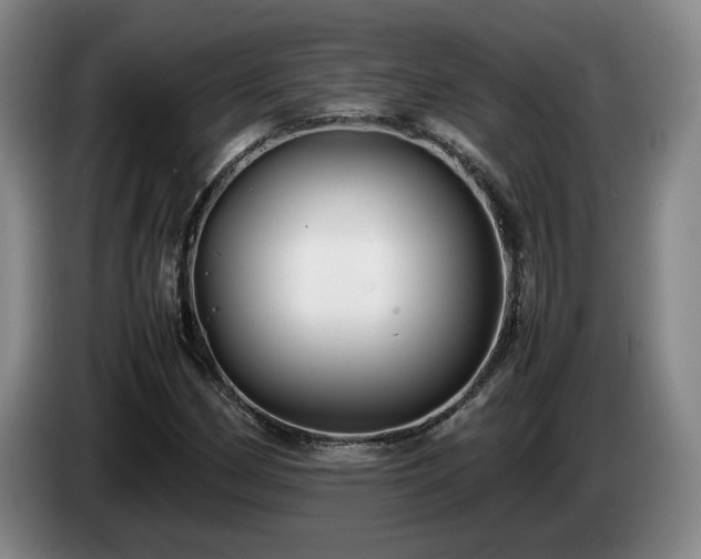 X0000085071162200703121636