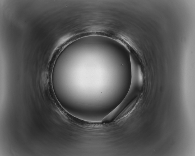 X0000085071164200703121635