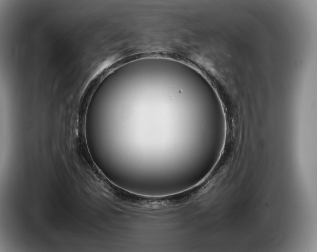 X0000085071165200703121635