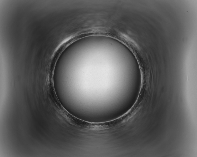 X0000085071166200703121635