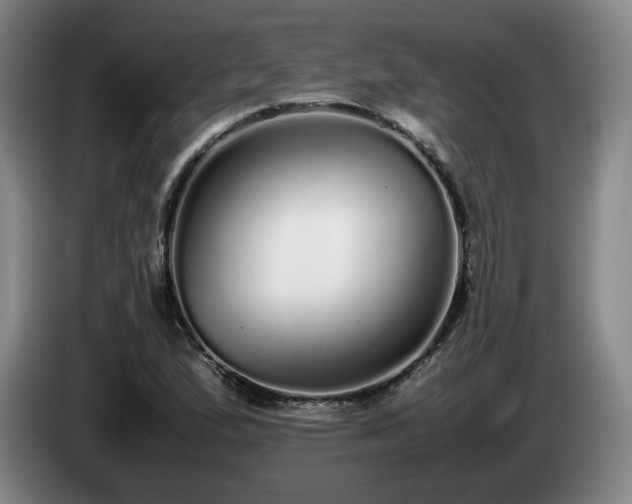 X0000085071167200703121635