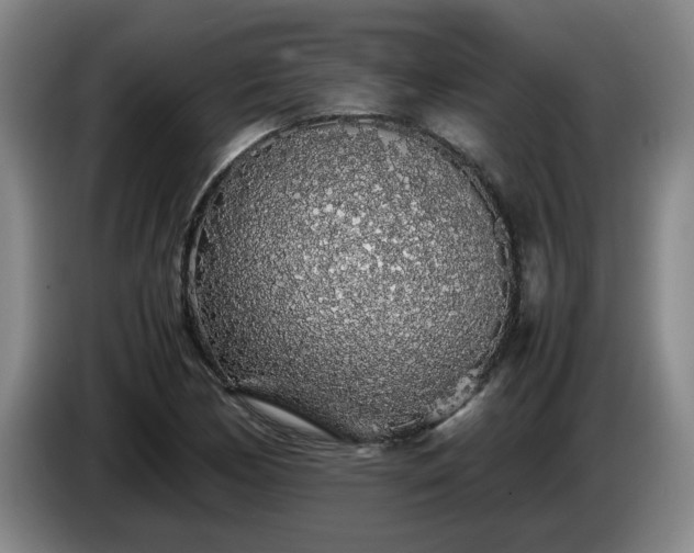 X0000085071170200703121635