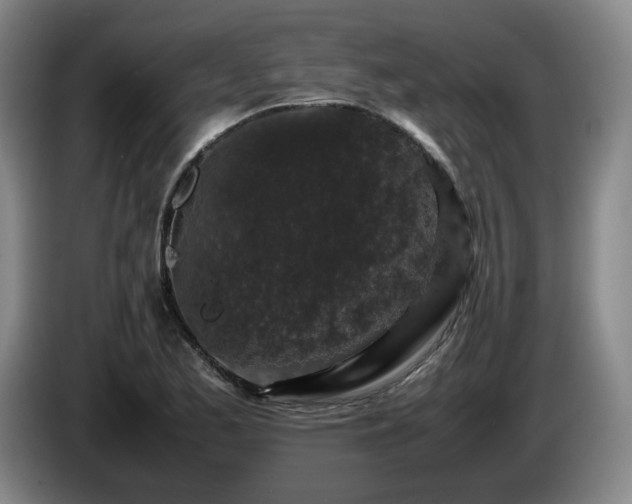 X0000085071173200703121635