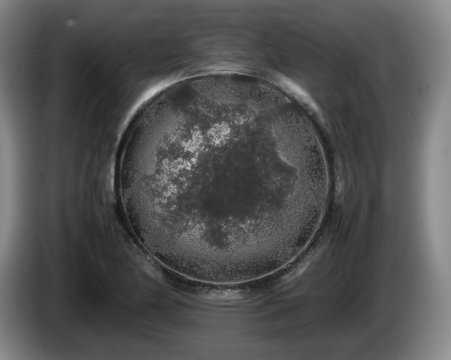 X0000085071174200703121635