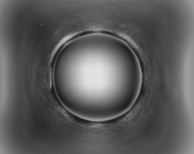 X0000085071175200703121635