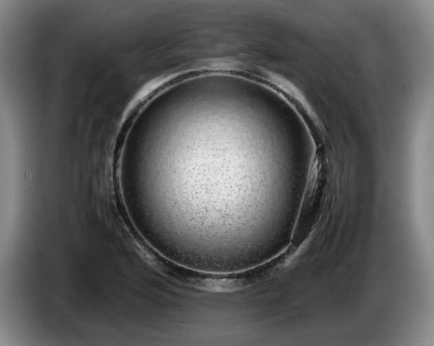 X0000085071176200703121635