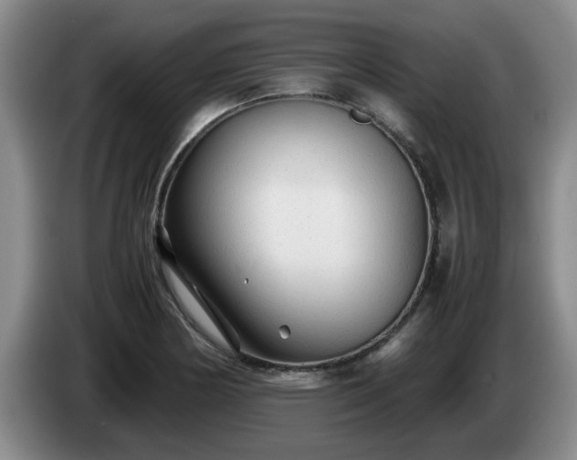 X0000085071178200703121635