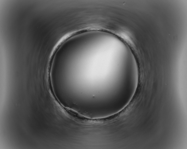 X0000085071183200703121635