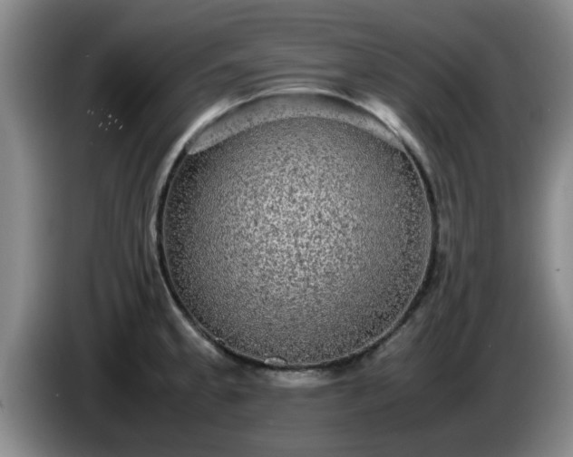 X0000085071189200703121635