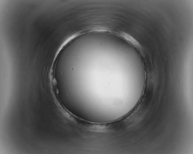 X0000085071190200703121635