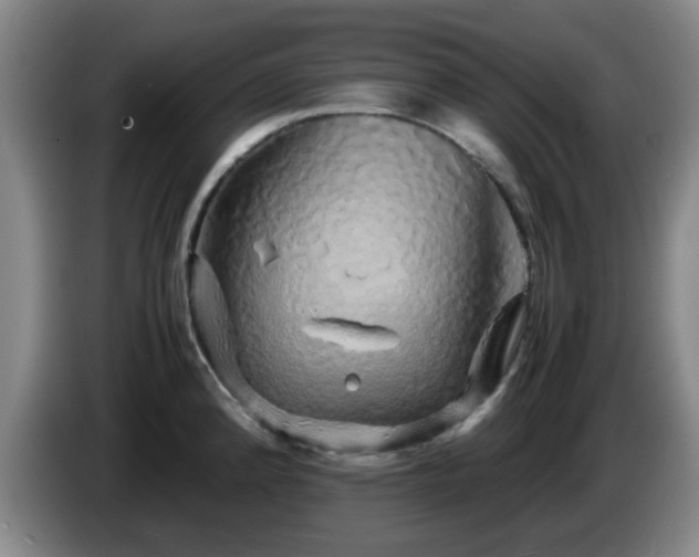 X0000085071192200703121635