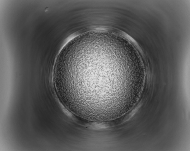 X0000085071194200703121635