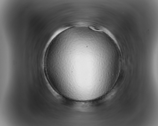 X0000085071195200703121635