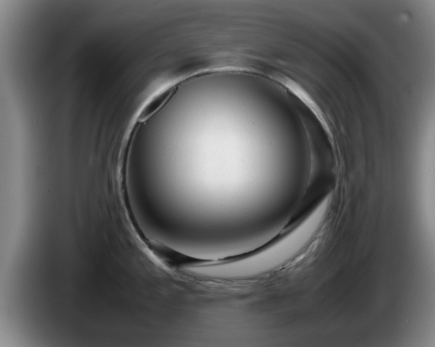 X0000085071197200703121635