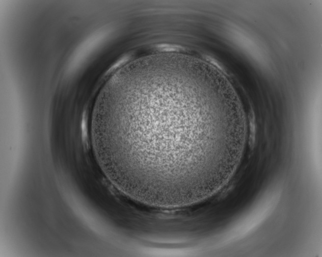 X0000085071198200703121635