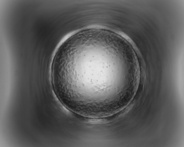 X0000085071199200703121635