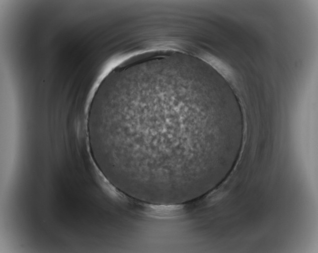 X0000085071200200703121635